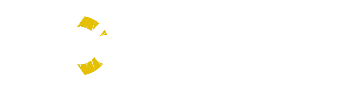 Kentekenverslag